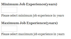 Step 15: Job Experience